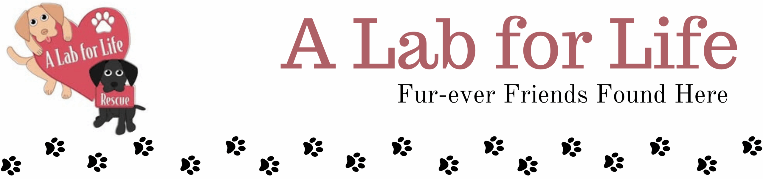 A Lab for Life