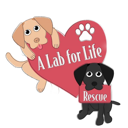 A Lab For Life